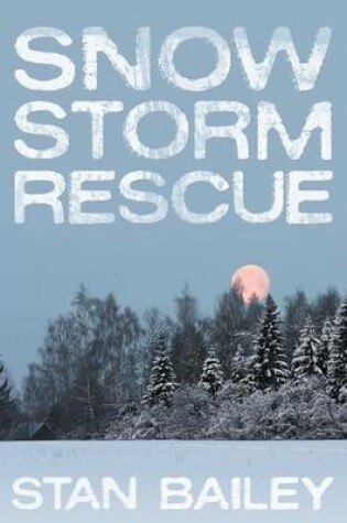 Cover of Snow Storm Rescue