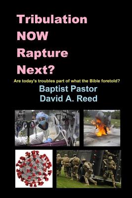 Book cover for Tribulation NOW Rapture Next?