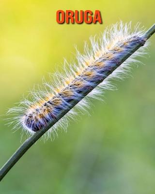 Book cover for Oruga