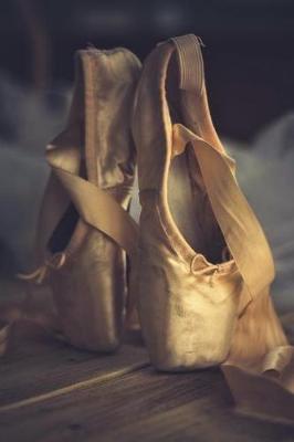 Book cover for Well-Worn Ballet Pointe Shoes