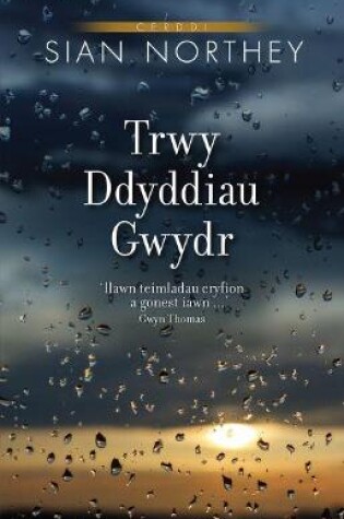 Cover of Trwy Ddyddiau Gwydr