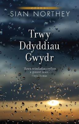 Book cover for Trwy Ddyddiau Gwydr