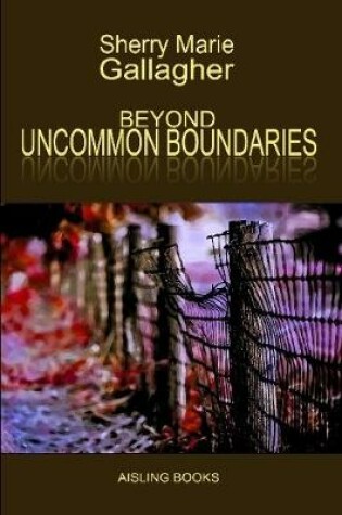 Cover of Beyond Uncommon Boundaries