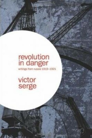 Cover of Revolution In Danger