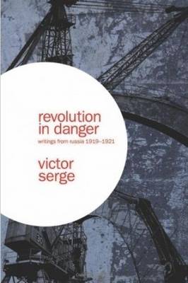 Book cover for Revolution In Danger