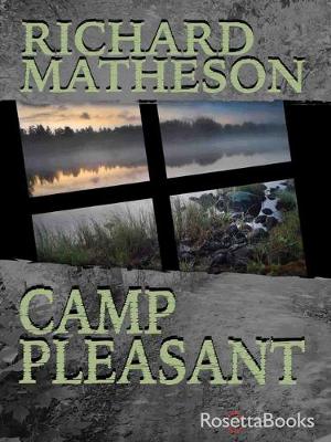 Book cover for Camp Pleasant