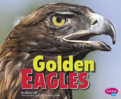 Cover of Golden Eagles