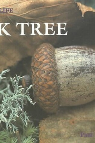 Cover of Oak Tree