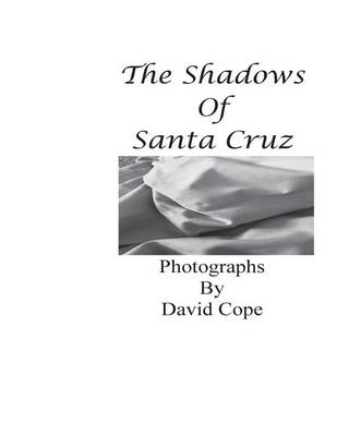 Book cover for The Shadows of Santa Cruz