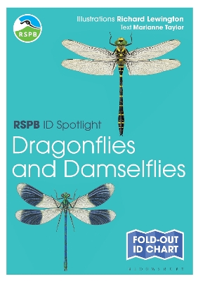 Book cover for RSPB ID Spotlight - Dragonflies and Damselflies