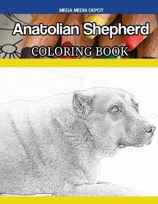 Book cover for Anatolian Shepherd Coloring Book