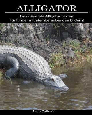 Book cover for Alligator