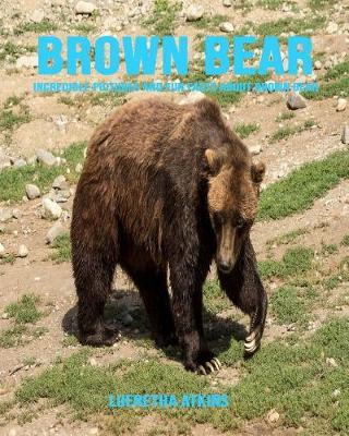 Book cover for Brown Bear