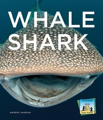 Book cover for Whale Shark