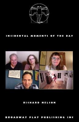 Book cover for Incidental Moments of the Day