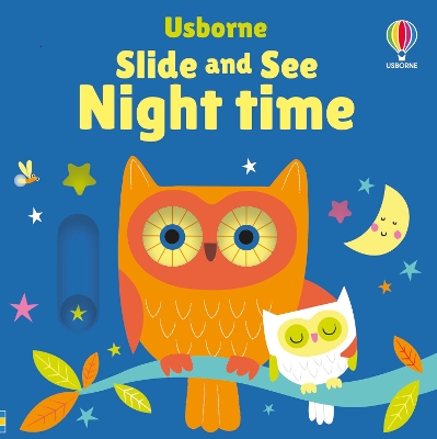 Book cover for Slide and See Night Time