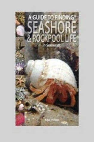 Cover of A Guide to Finding Seashore and Rockpool Life in Somerset