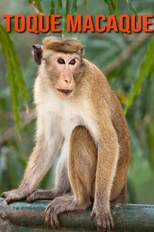 Cover of Toque Macaque