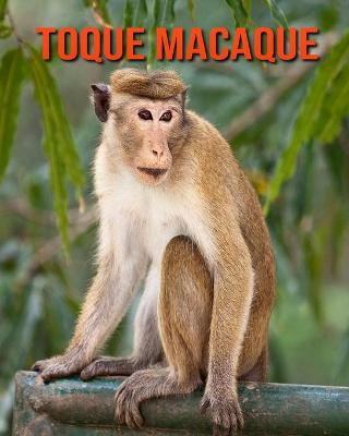 Book cover for Toque Macaque