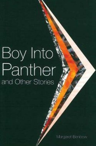 Cover of Boy Into Panther and Other Stories