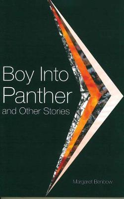 Book cover for Boy Into Panther and Other Stories