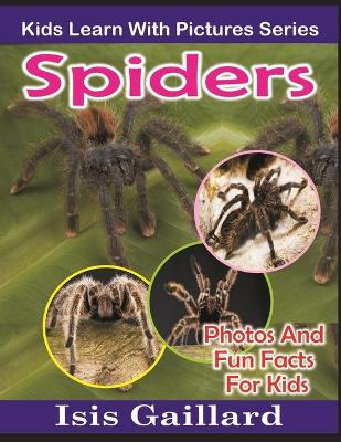 Book cover for Spiders