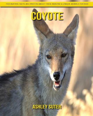 Book cover for Coyote