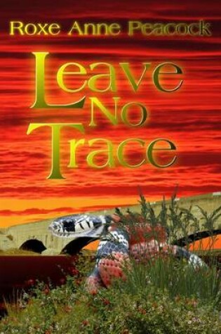 Cover of Leave No Trace