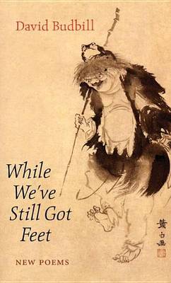 Book cover for While We've Still Got Feet