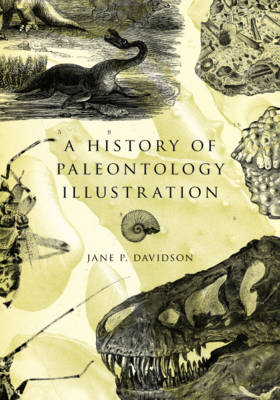 Book cover for A History of Paleontology Illustration