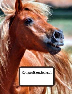 Book cover for Composition Journal (Shetland Pony)