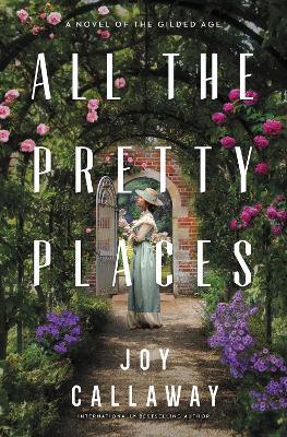 Book cover for All the Pretty Places