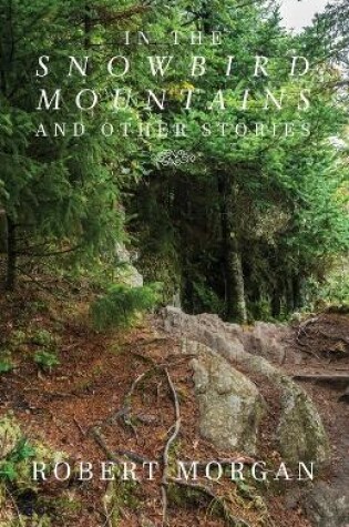 Cover of In the Snowbird Mountains and Other Stories