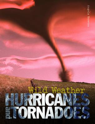 Book cover for Hurricanes and Tornadoes