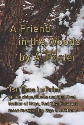 Book cover for A Friend in the Woods