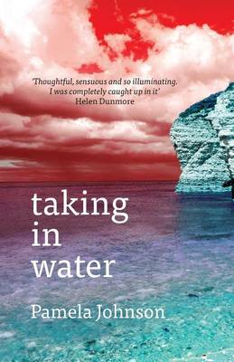 Book cover for Taking in Water