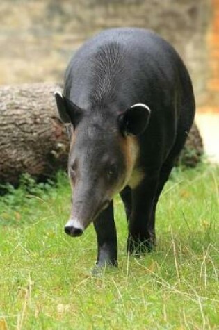 Cover of Baird's Tapir Journal