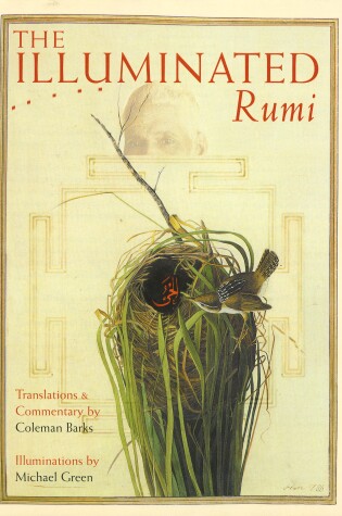 Cover of The Illuminated Rumi