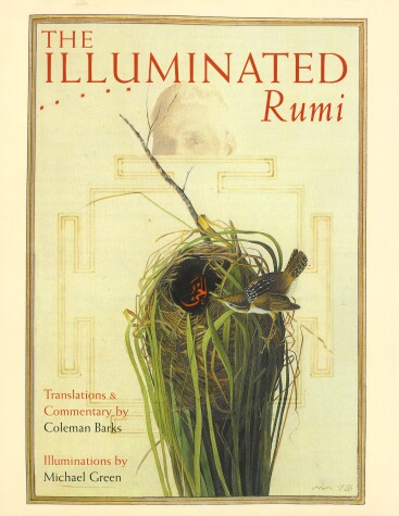 Cover of The Illuminated Rumi