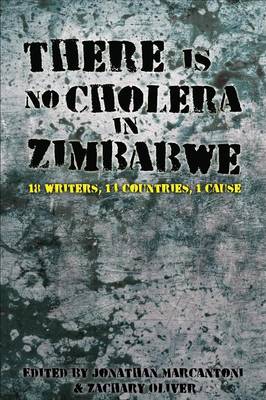 Book cover for There is No Cholera in Zimbabwe