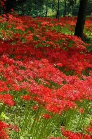 Cover of Amaryllis Flowers Blooming in the Countryside Journal