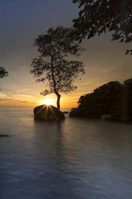Cover of Mangroves On The Shoreline of Phuquoc Island Vietnam At Sunrise