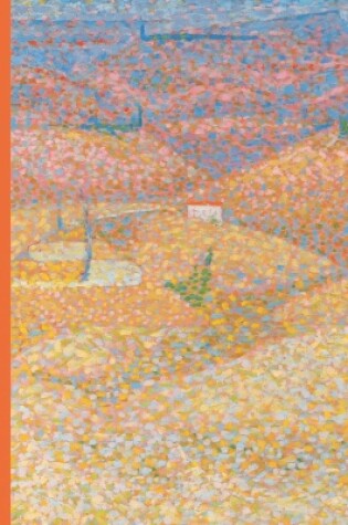 Cover of Bridget Riley: Learning from Seurat
