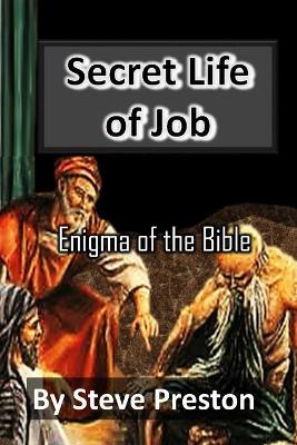Book cover for Secret Life of Job