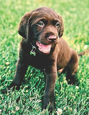 Book cover for Chocolate Lab Puppy Lovers