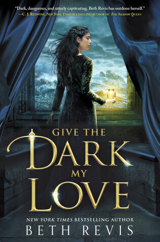 Book cover for Give the Dark My Love