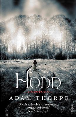 Book cover for Hodd