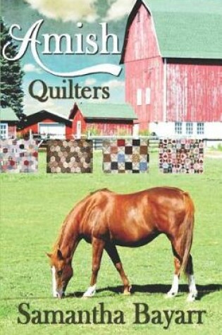 Cover of Amish Quilters