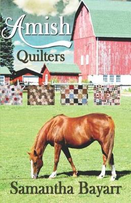 Book cover for Amish Quilters