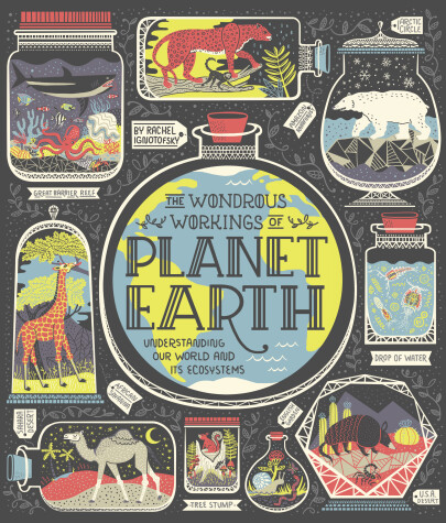 Book cover for The Wondrous Workings of Planet Earth
